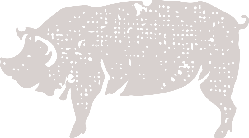 Pig